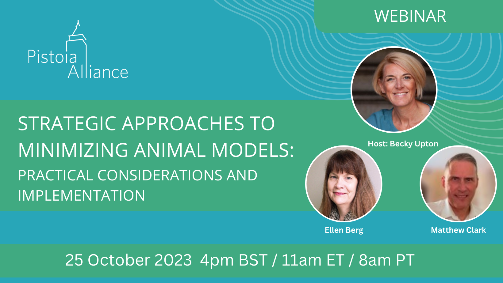 Strategic Approaches to Minimizing Animal Models: Practical Considerations and Implementation